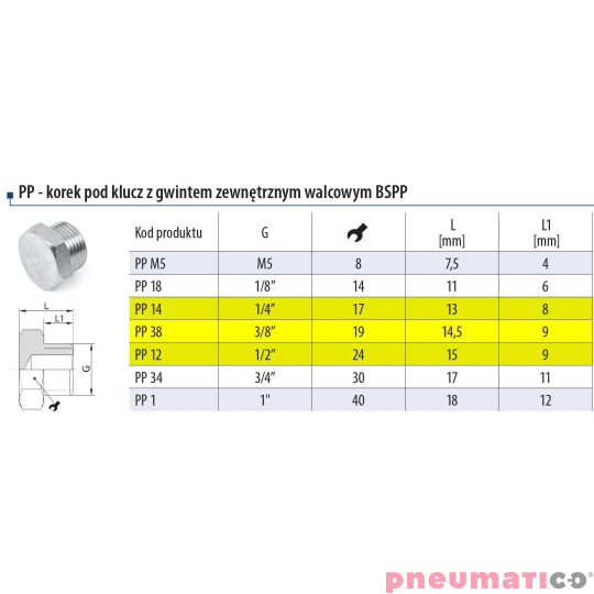Korek - zaślepka z gwintem zewnętrznym RQS 3/8" PP38