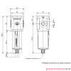 Filtr dokładny Pneumax T172BDA Filtr dokładny Pneumax T172BDA