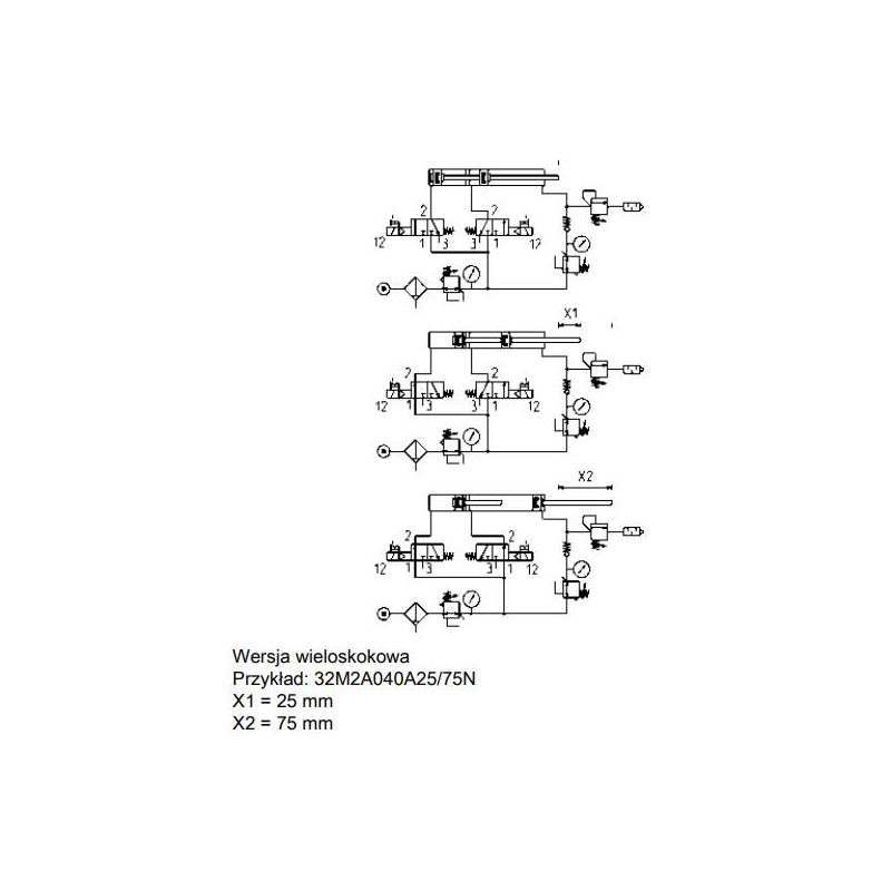 Siłownik ISO 21287 serii 32 O100 podwójnego działania CAMOZZI 32F2A100A050 Siłownik ISO 21287 serii 32 O100 podwójnego działania CAMOZZI 32F2A100A050