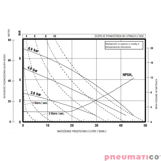 Pompa membranowa 1/2" ARO PD05P-AAS-PGG Pompa membranowa 1/2" ARO PD05P-AAS-PGG