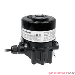 Elektryczny napęd obrotowy TYP EFMB.2/3 (X)  EFMB.2X-I-sB-T3W-11F345