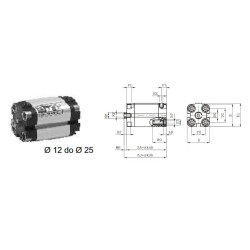 Siłownik profilowy UNITOP 1581 PNEUMAX Ø 25 skok 50 1581.25.0050.02.1
