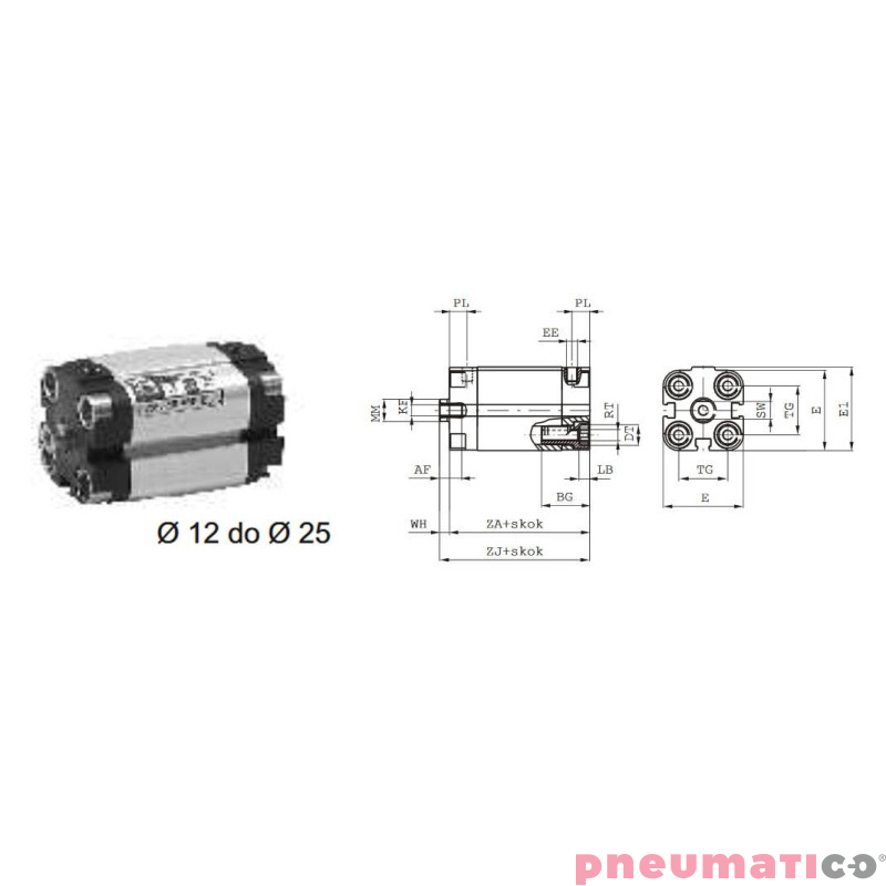 Siłownik profilowy UNITOP 1581 PNEUMAX Ø 25 skok 200 1581.25.0200.02.1