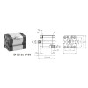 Siłownik profilowy UNITOP 1581 PNEUMAX Ø 40 skok 150 1581.40.0150.02.1 Siłownik profilowy UNITOP 1581 PNEUMAX Ø 40 skok 150 1581.40.0150.02.1