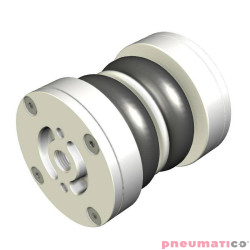 Siłownik mieszkowy RUBENA seria Dunlop 2 3/4' X2