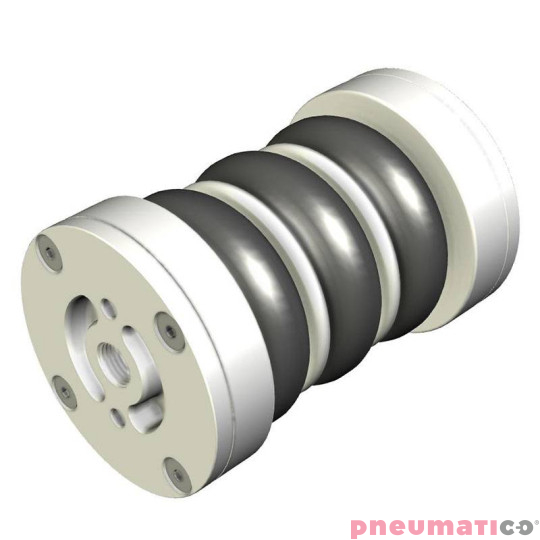 Siłownik mieszkowy RUBENA seria Dunlop 2 3/4' X3 Siłownik mieszkowy RUBENA seria Dunlop 2 3/4' X3