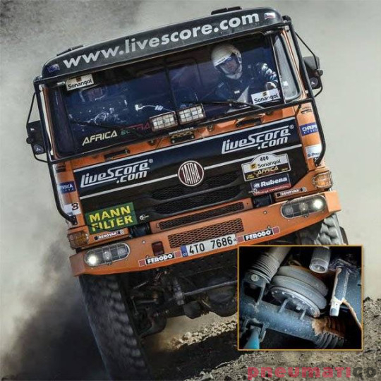 Siłownik mieszkowy RUBENA seria Dunlop 16' X2 Siłownik mieszkowy RUBENA seria Dunlop 16' X2