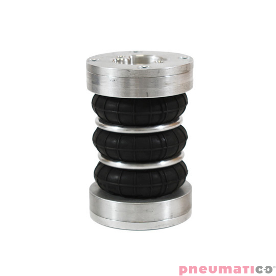 Siłownik mieszkowy RUBENA seria Dunlop 2 3/4' X3 Siłownik mieszkowy RUBENA seria Dunlop 2 3/4' X3