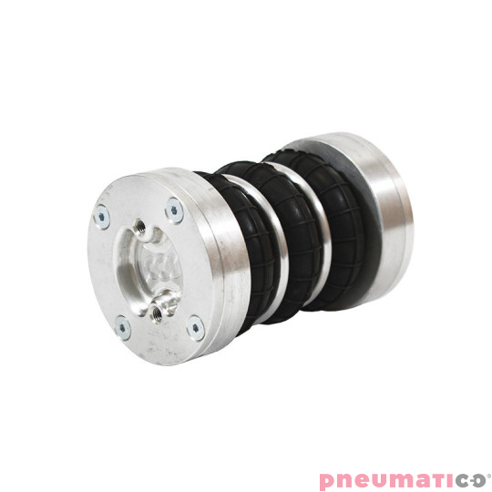 Siłownik mieszkowy Seria RUBENA 130 X3 Siłownik mieszkowy Seria RUBENA 130 X3