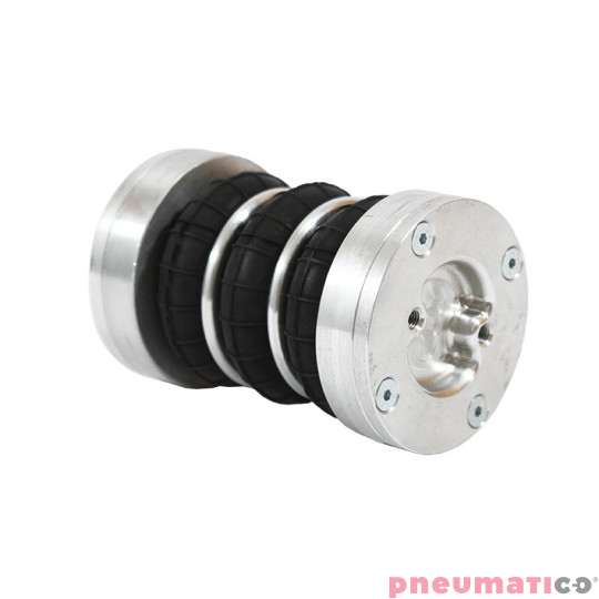 Siłownik mieszkowy Seria RUBENA 130 X3 Siłownik mieszkowy Seria RUBENA 130 X3