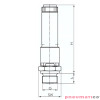 Zawór bezpieczeństwa wysokiej wydajności TÜV 1,40 bar 3/8" Pneumatico SV388-1,4MS Zawór bezpieczeństwa wysokiej wydajności TÜV 1,40 bar 3/8" Pneumatico SV388-1,4MS