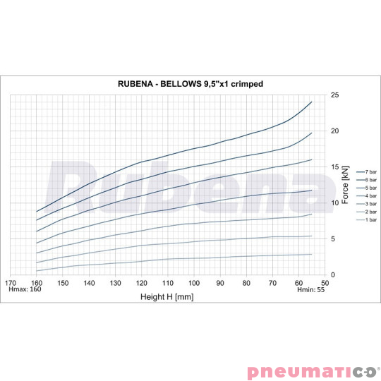 Siłownik mieszkowy RUBENA seria Dunlop 9 1/2' X1 G3/4' Siłownik mieszkowy RUBENA seria Dunlop 9 1/2' X1 G3/4'
