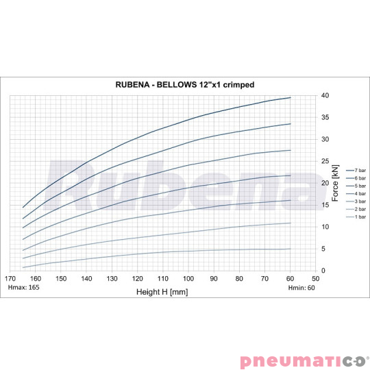 Siłownik mieszkowy RUBENA seria Dunlop 12' X1