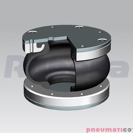Siłownik mieszkowy Seria RUBENA 130 X1 Siłownik mieszkowy Seria RUBENA 130 X1
