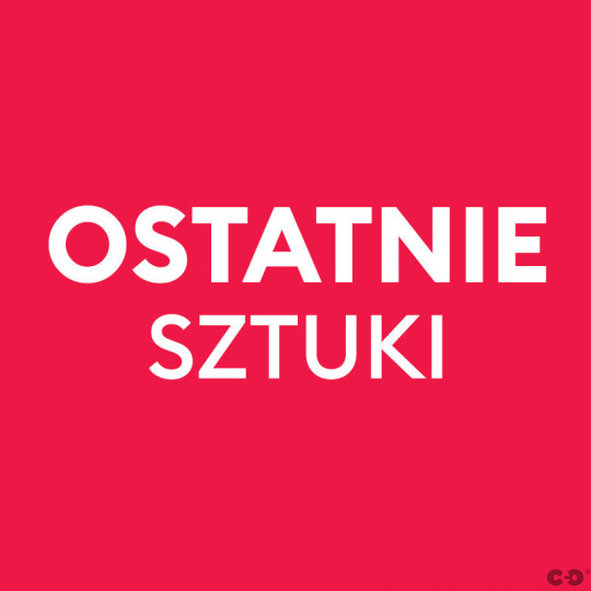 Wbijak PASLODE FN 576942 576942-PAS