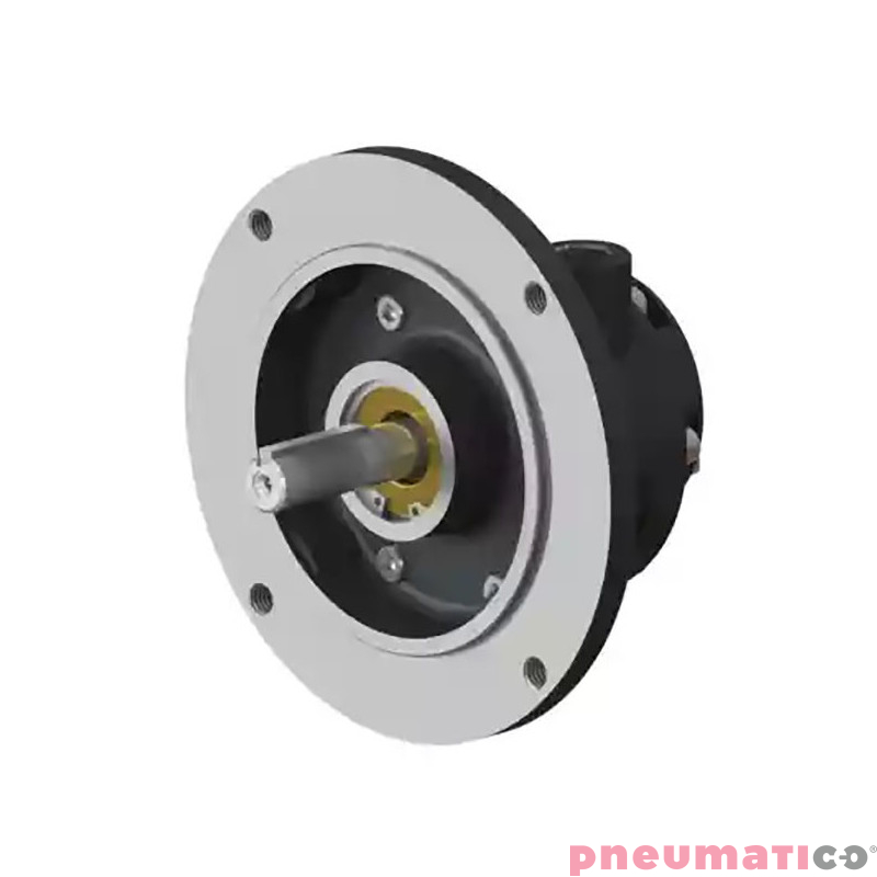 Silnik pneumatyczny GLOBE AIRMOTORS VS2C (A15002500) Silnik pneumatyczny GLOBE AIRMOTORS VS2C (A15002500)