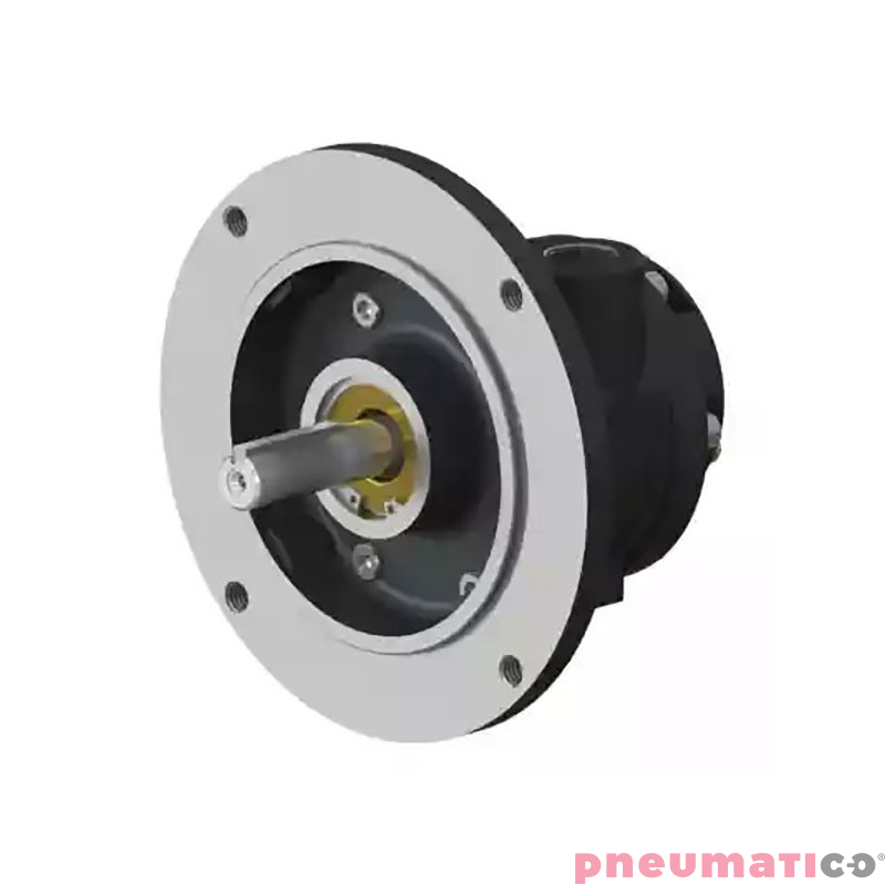 Silnik pneumatyczny GLOBE AIRMOTORS VA4J&X (A11004000) Silnik pneumatyczny GLOBE AIRMOTORS VA4J&X (A11004000)