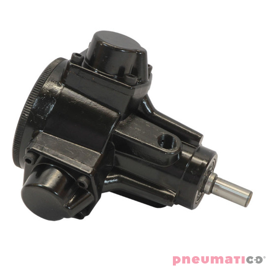 Silnik pneumatyczny do zbiorników ciśnieniowych 10-60l Pneumatico Tank MP10-1-1-08 Silnik pneumatyczny do zbiorników ciśnieniowych 10-60l Pneumatico Tank MP10-1-1-08