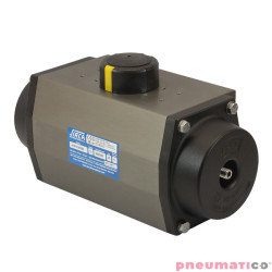 Pneumatyczny napęd obrotowy pojedynczego działania AP45SR 115 VITON SIRCA