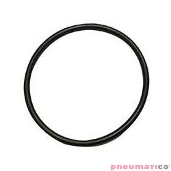 HH11132 O-ring 1AP10A do...