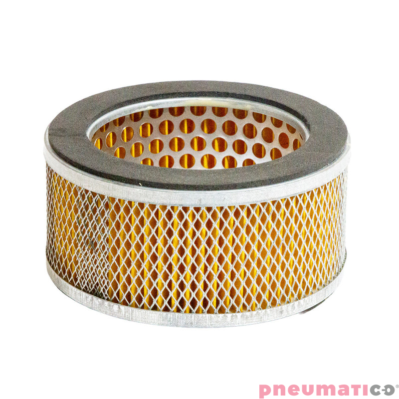 Filtr powietrza do pompy Walter GK1400 2002103469J