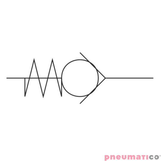 Zawór zwrotny FPM G 1/8" PNEUMAX 6.07.18/V