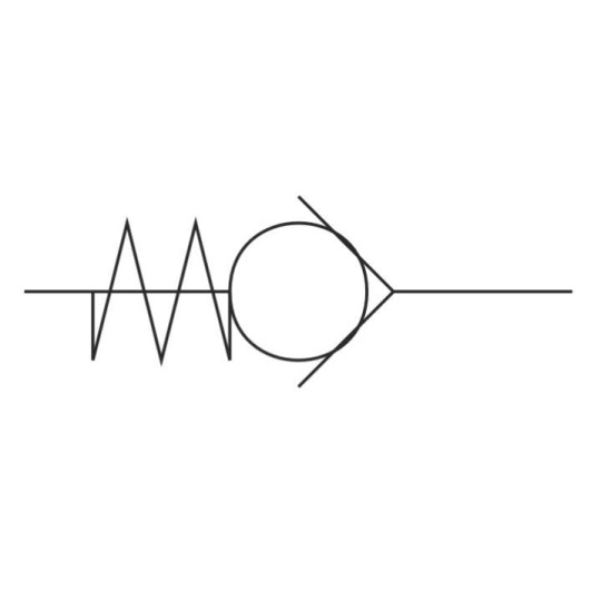 Zawór zwrotny FPM G 3/8" PNEUMAX 6.07.38/V Zawór zwrotny FPM G 3/8" PNEUMAX 6.07.38/V