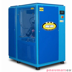 Sprężarka śrubowa stacjonarna WAN-NK 100 30kW
